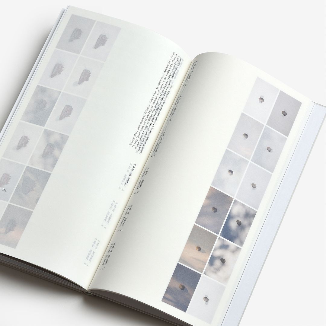 Encyclopedia book spread with rows of small specimen images and tight labels