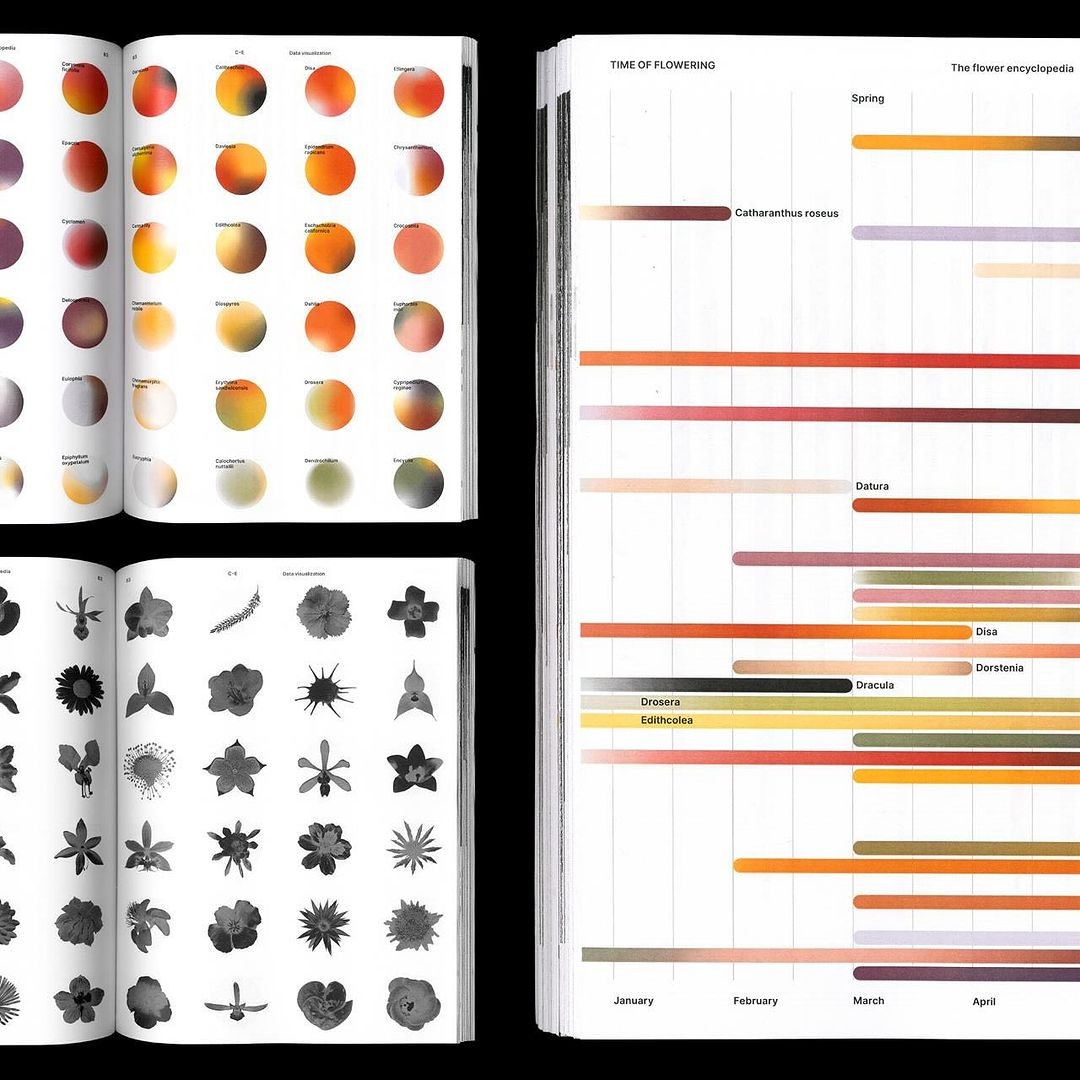 Flower encyclopedia spreads with gradient circles, silhouettes and time-of-flowering bar chart