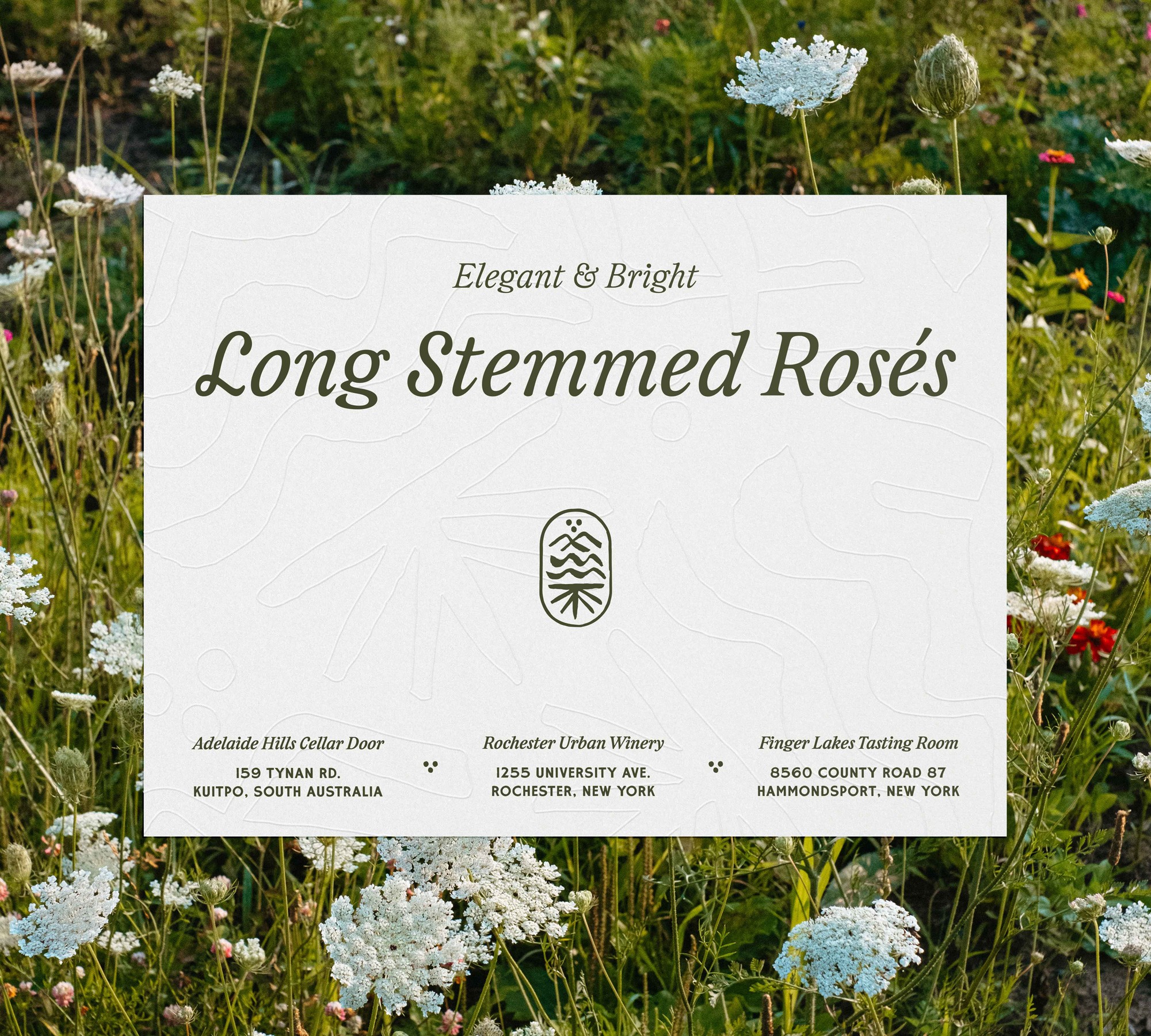 Long Stemmed Roses wine brand with italic script wordmark on wildflower meadow